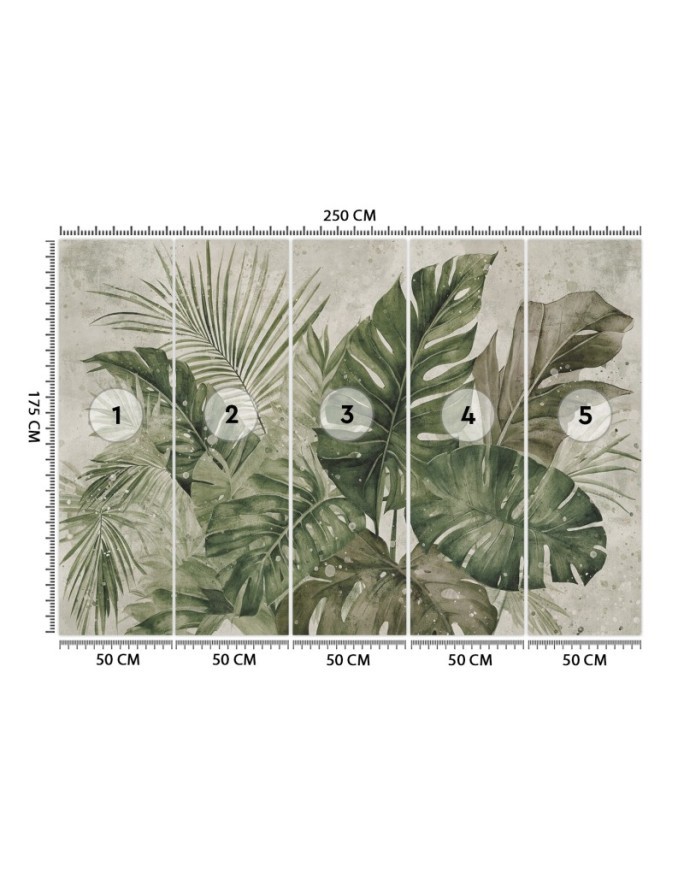 Unique wall mural - Tropical monstera leaves | FEEBY