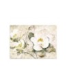 Wall mural for bedroom - White flowers nature | FEEBY