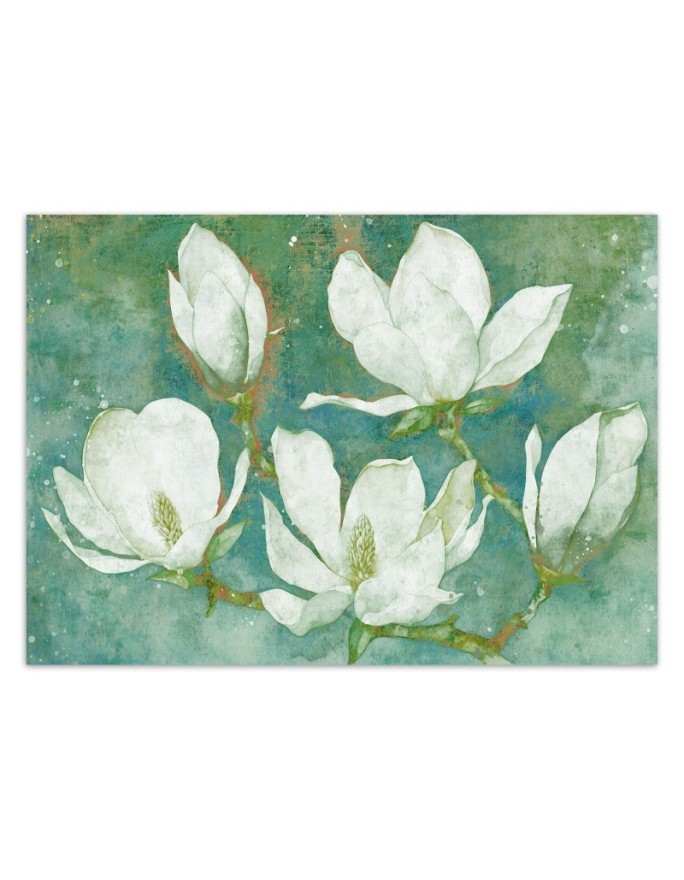 Wallpaper - Flowering magnolias abstract | FEEBY