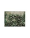 Wall mural for bedroom - Lotus flowers on a lake | FEEBY