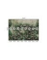 Wall mural for bedroom - Lotus flowers on a lake | FEEBY