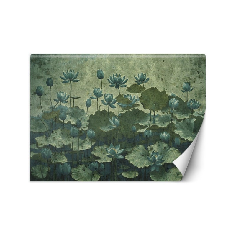 Wallpaper - Flowering green water lilies | FEEBY