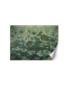 Wallpaper - Flowering green water lilies | FEEBY