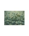 Wallpaper - Flowering green water lilies | FEEBY