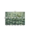 Wallpaper - Flowering green water lilies | FEEBY
