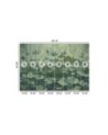 Wallpaper - Flowering green water lilies | FEEBY