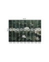 Wall mural - Vintage water lilies | FEEBY