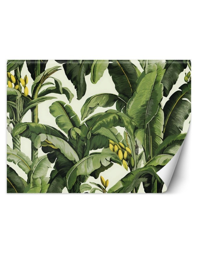 Wall mural for living room - Green banana leaves | FEEBY