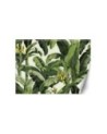Wall mural for living room - Green banana leaves | FEEBY