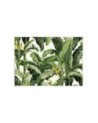 Wall mural for living room - Green banana leaves | FEEBY
