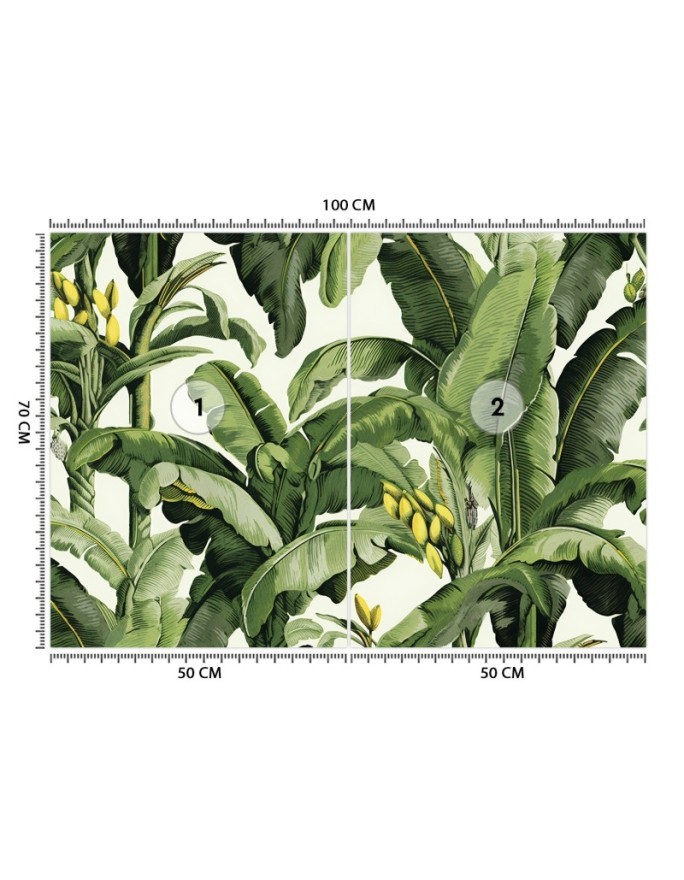Wall mural for living room - Green banana leaves | FEEBY
