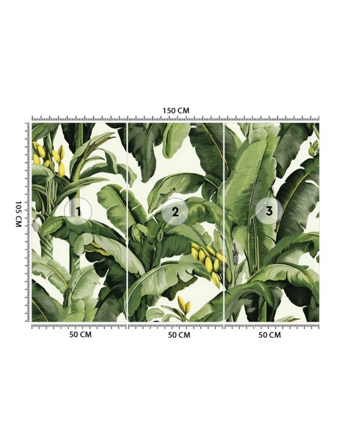 Wall mural for living room - Green banana leaves | FEEBY