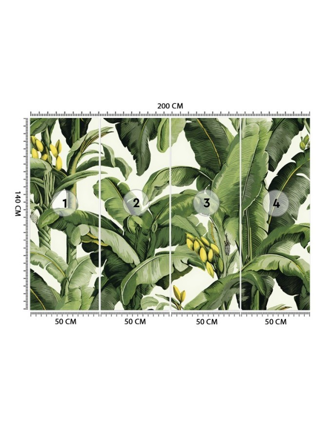 Wall mural for living room - Green banana leaves | FEEBY