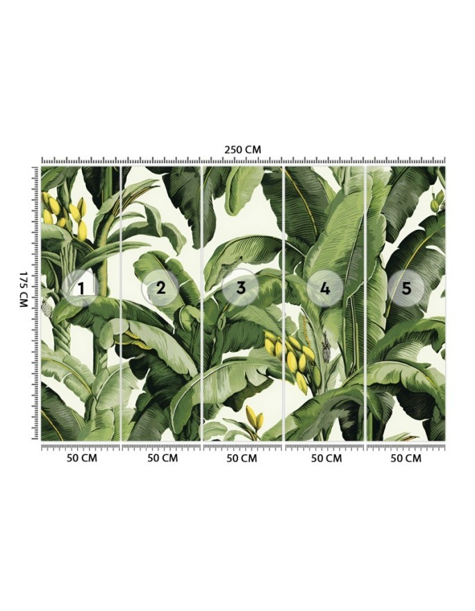 Wall mural for living room - Green banana leaves | FEEBY