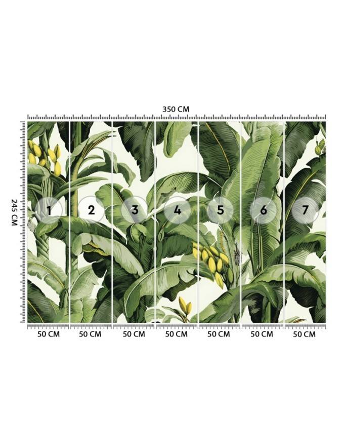 Wall mural for living room - Green banana leaves | FEEBY