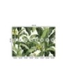 Wall mural for living room - Green banana leaves | FEEBY