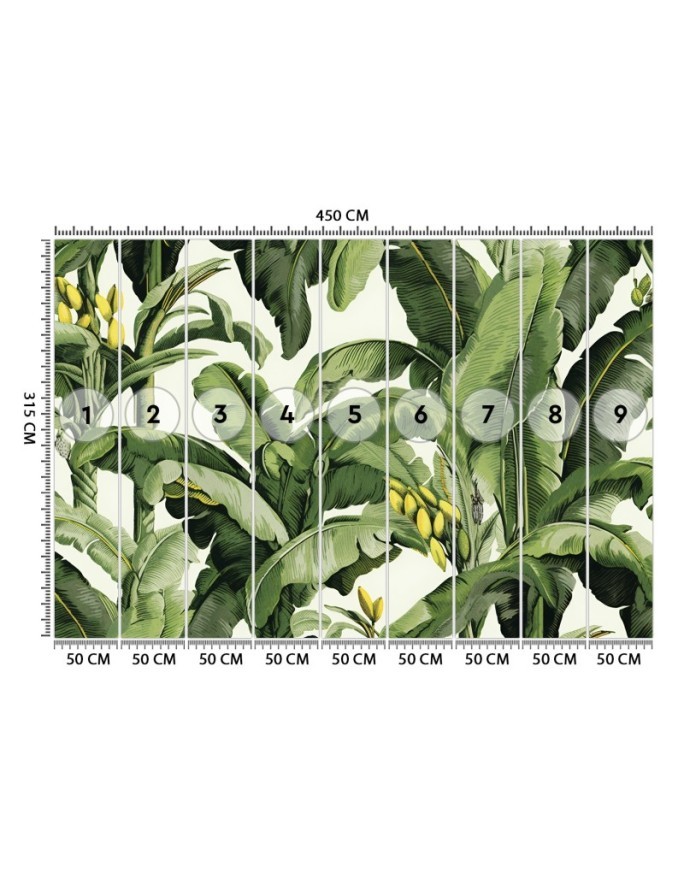 Wall mural for living room - Green banana leaves | FEEBY