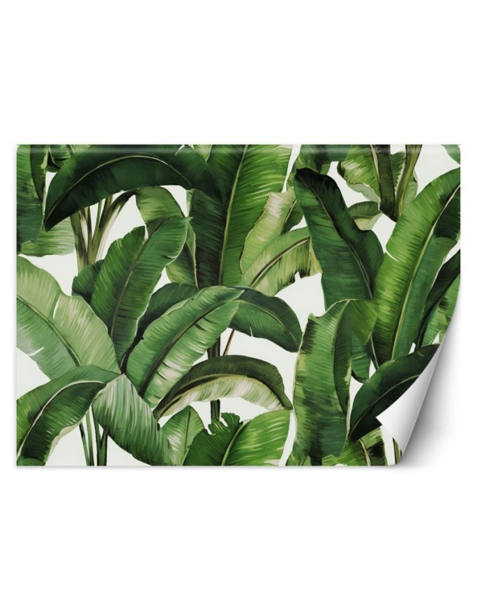 Wall mural for bedroom - Green tropical leaves | FEEBY