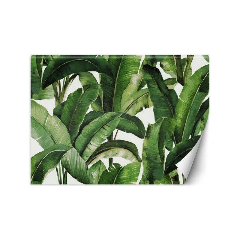Wall mural for bedroom - Green tropical leaves | FEEBY