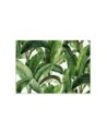 Wall mural for bedroom - Green tropical leaves | FEEBY