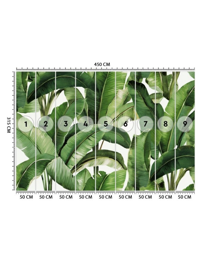 Wall mural for bedroom - Green tropical leaves | FEEBY