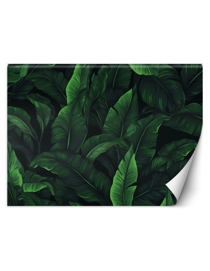 Wallpaper - Exotic leaves in monochrome green | FEEBY