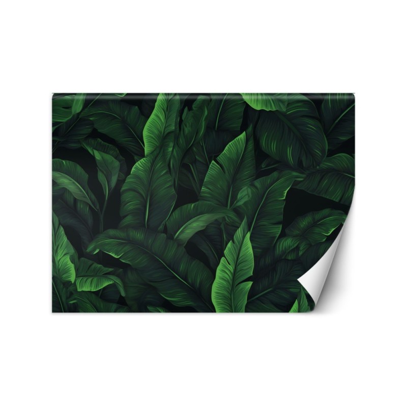 Wallpaper - Exotic leaves in monochrome green | FEEBY