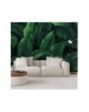 Wallpaper - Exotic leaves in monochrome green | FEEBY