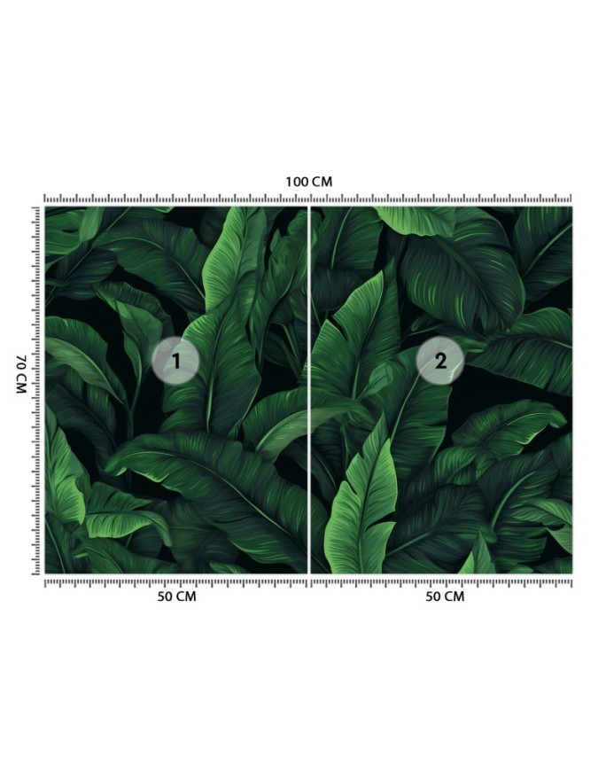 Wallpaper - Exotic leaves in monochrome green | FEEBY