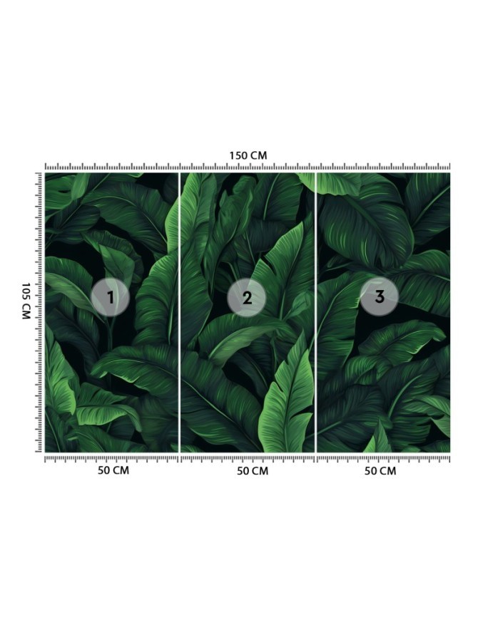 Wallpaper - Exotic leaves in monochrome green | FEEBY