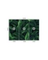 Wallpaper - Exotic leaves in monochrome green | FEEBY