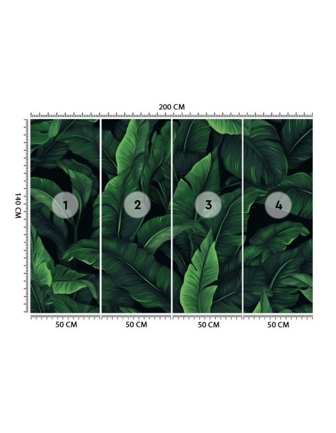 Wallpaper - Exotic leaves in monochrome green | FEEBY