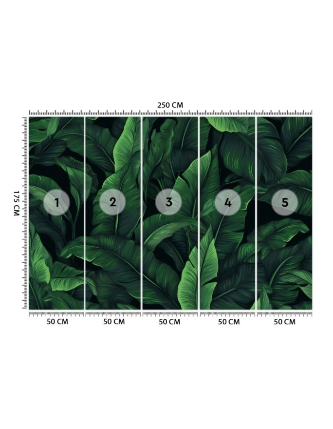 Wallpaper - Exotic leaves in monochrome green | FEEBY