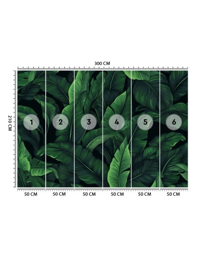 Wallpaper - Exotic leaves in monochrome green | FEEBY