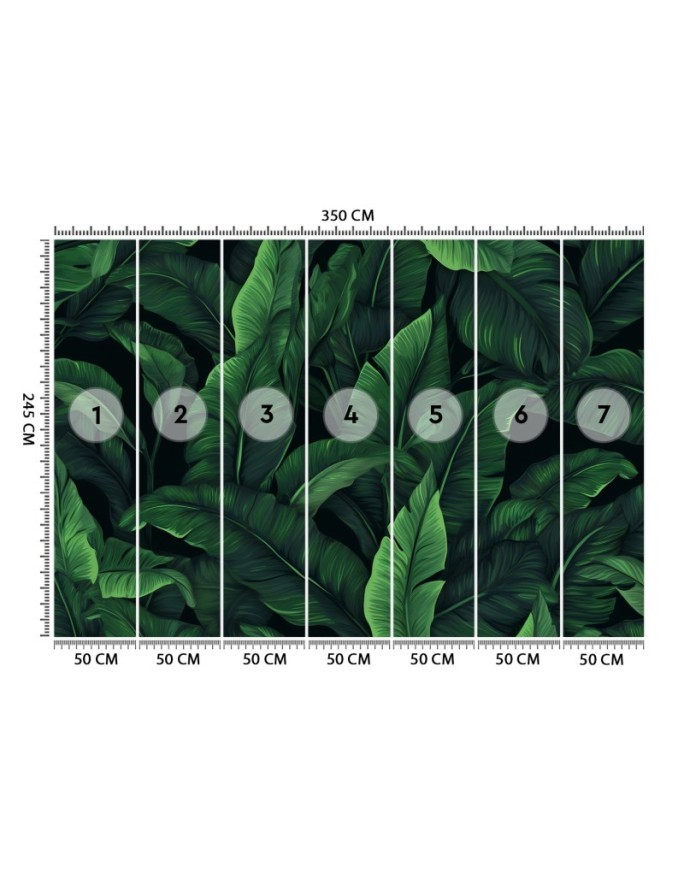 Wallpaper - Exotic leaves in monochrome green | FEEBY