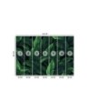 Wallpaper - Exotic leaves in monochrome green | FEEBY
