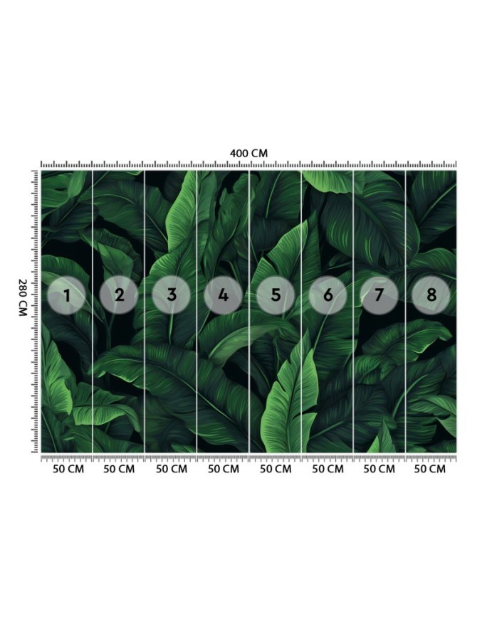 Wallpaper - Exotic leaves in monochrome green | FEEBY