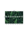 Wallpaper - Exotic leaves in monochrome green | FEEBY