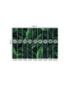 Wallpaper - Exotic leaves in monochrome green | FEEBY