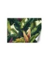 Wall mural - Colorful tropical leaves | FEEBY