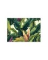 Wall mural - Colorful tropical leaves | FEEBY