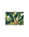 Wall mural - Colorful tropical leaves | FEEBY