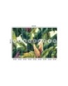 Wall mural - Colorful tropical leaves | FEEBY