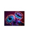 Fashionable wallpaper - Neon flowers buds | FEEBY