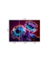Fashionable wallpaper - Neon flowers buds | FEEBY