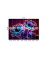 Fashionable wallpaper - Neon flowers buds | FEEBY