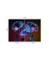 Wall mural for living room - Neon flowers nature | FEEBY