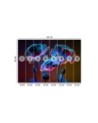 Wall mural for living room - Neon flowers nature | FEEBY